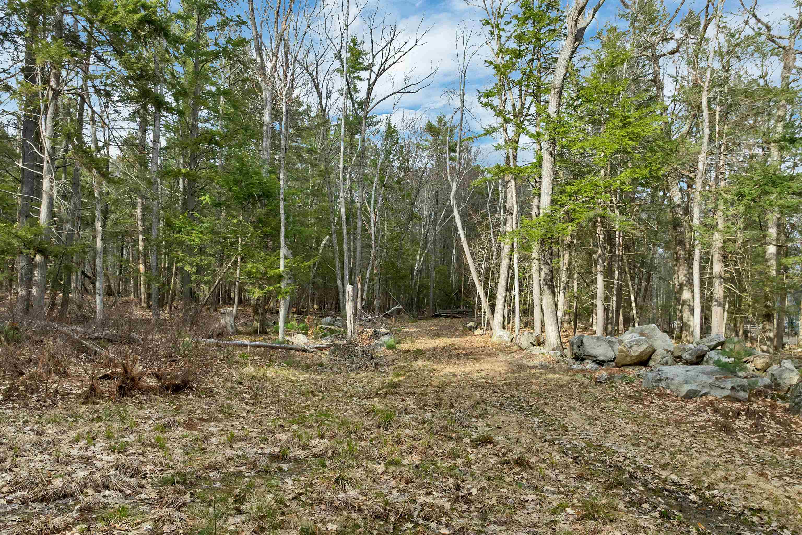 0 Basin Road Mirror Lake, NH 03853 - Photo 7 of 28