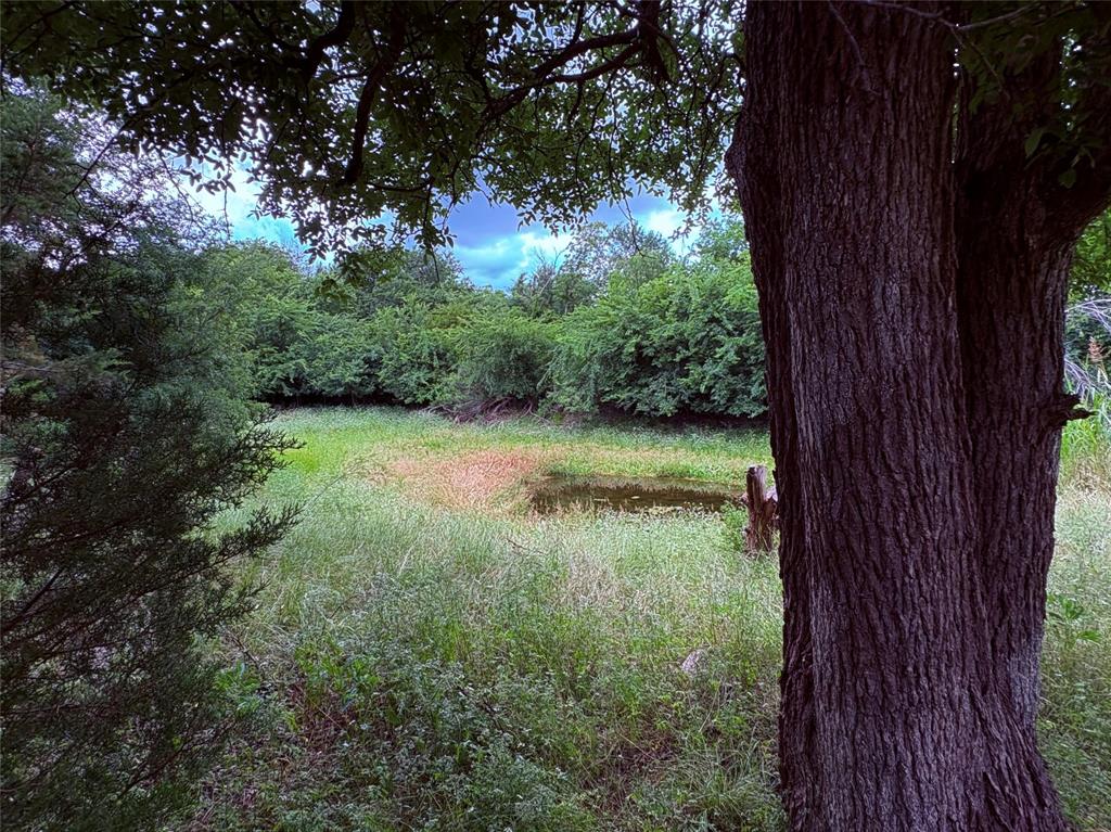 1117 North Tiffin Road Ranger, TX 76470 - Photo 16 of 40
