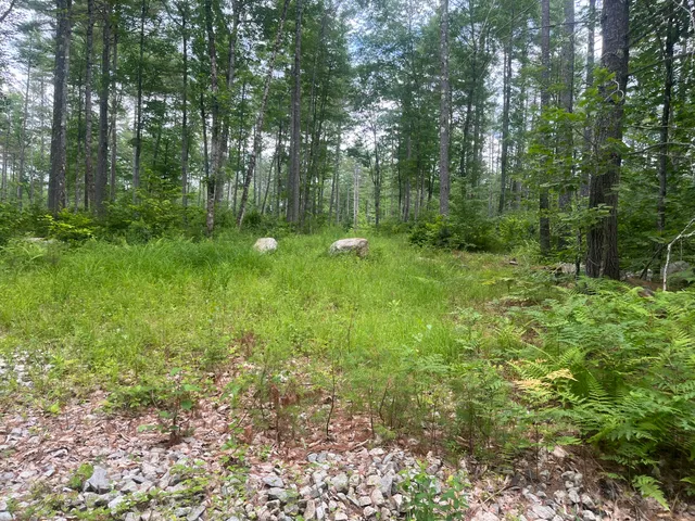 $69,000 | 0 Hio Ridge Road, Bridgton, ME 04009