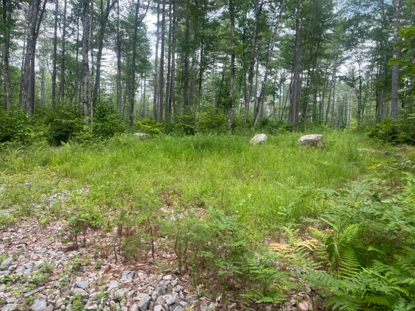$69,000 | 0 Hio Ridge Road, Bridgton, ME 04009