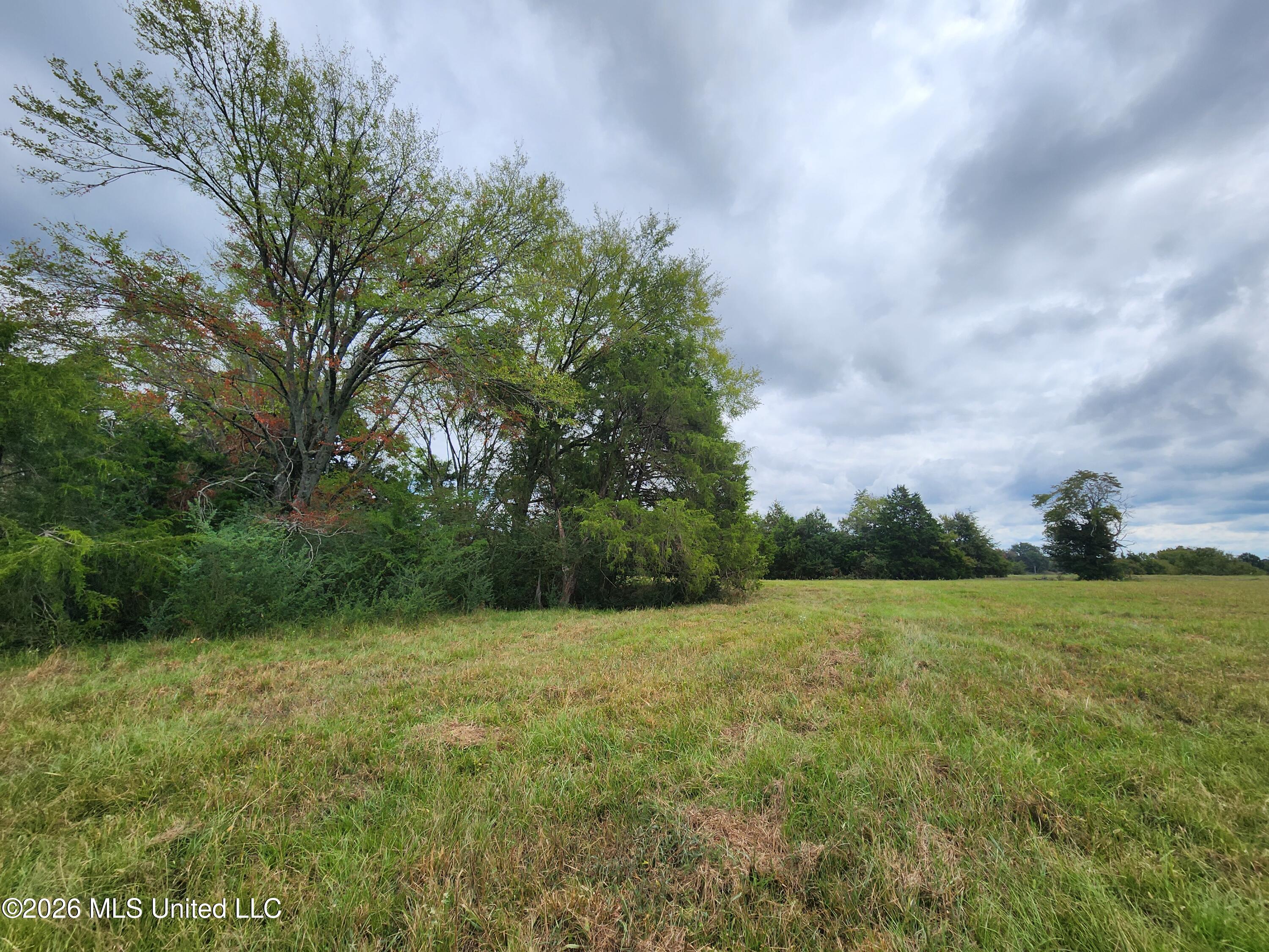 11.09 Bub Jamison Road Coldwater, MS 38618 - Photo 5 of 12 20260924_125226