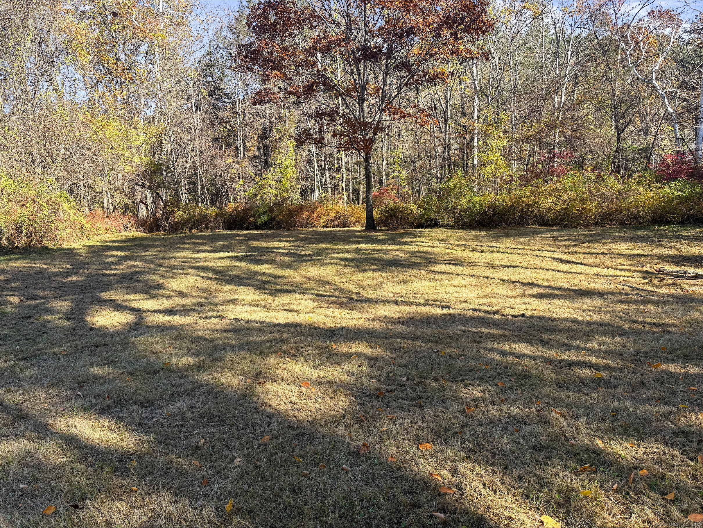 612 Kent Road New Milford, CT 06755 - Photo 34 of 35 a view of swimming pool and trees in the background