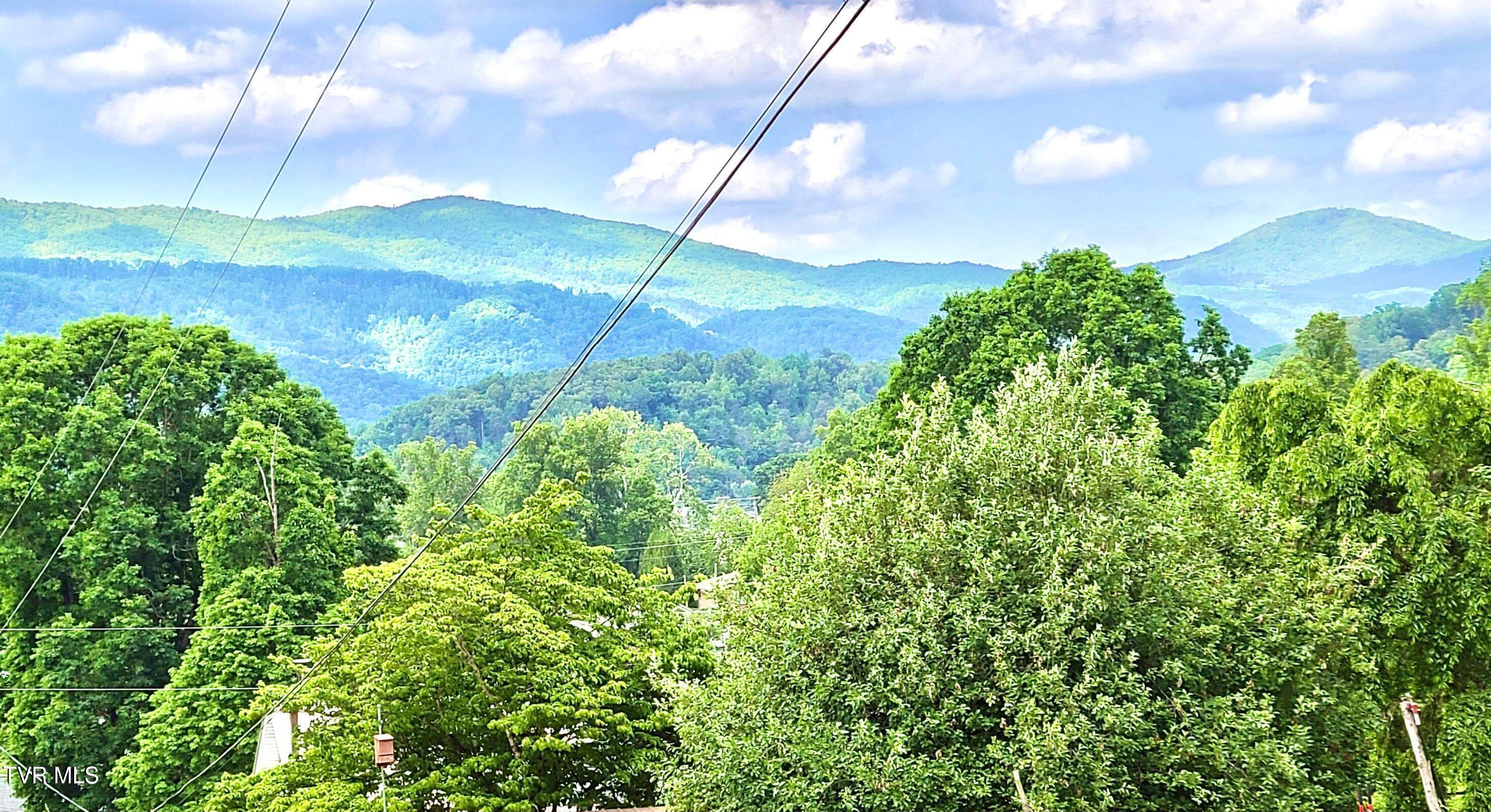 Tbd Tbd Masters St Extension Erwin, TN 37650 - Photo 4 of 8 IMG_9600
