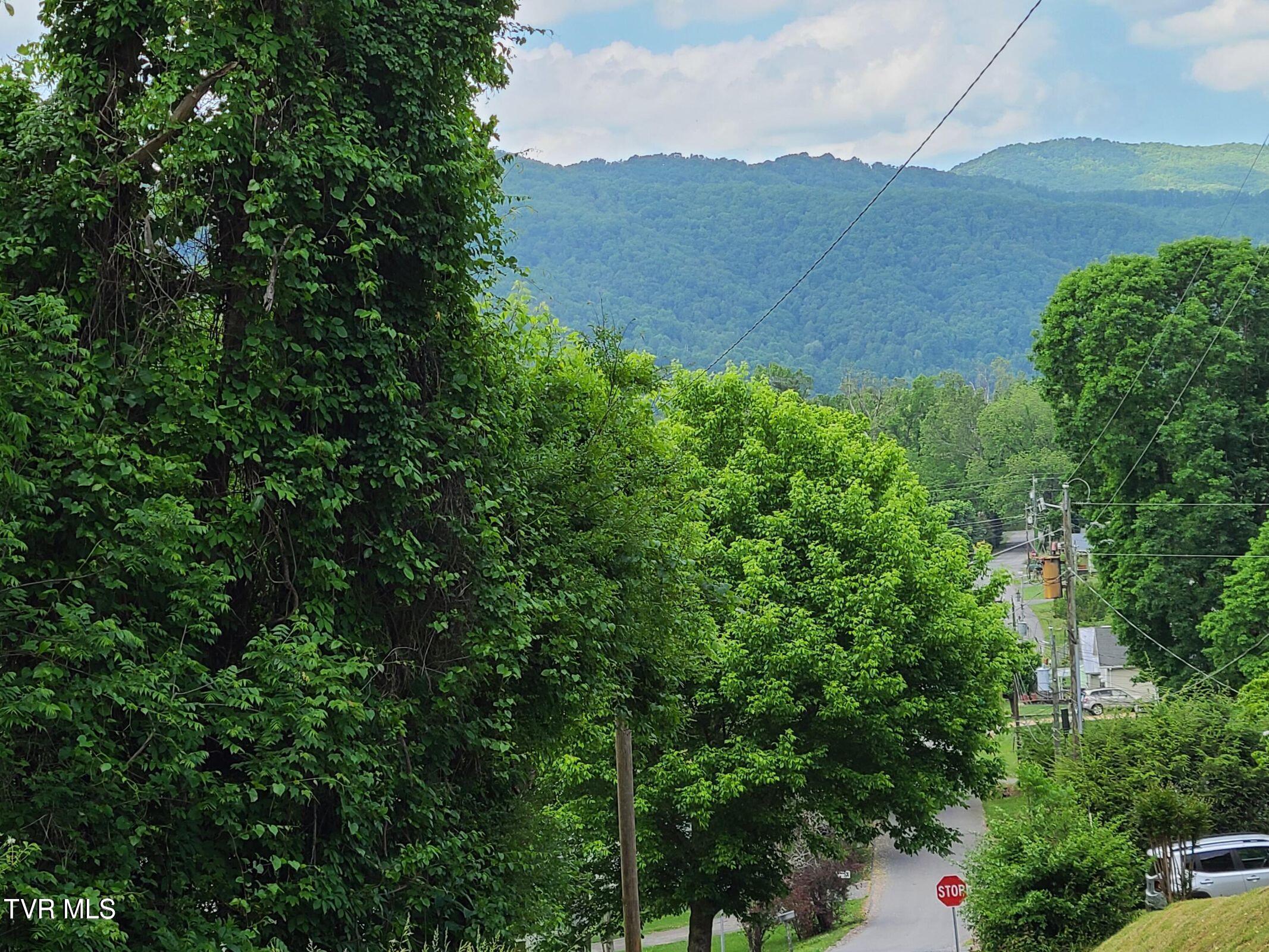 Tbd Tbd Masters St Extension Erwin, TN 37650 - Photo 5 of 8 IMG_9599
