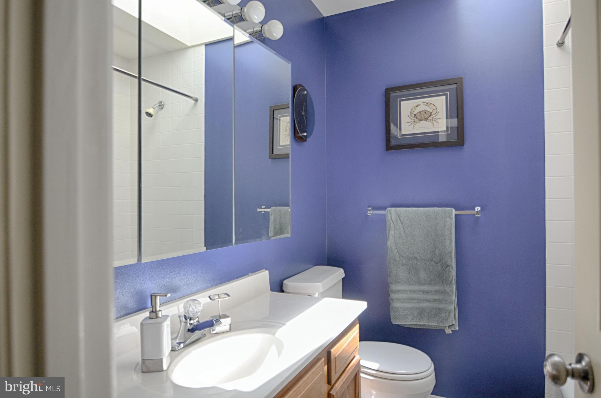 205 Cherry Valley Road Reisterstown, MD 21136 - Photo 14 of 29 Hall bath