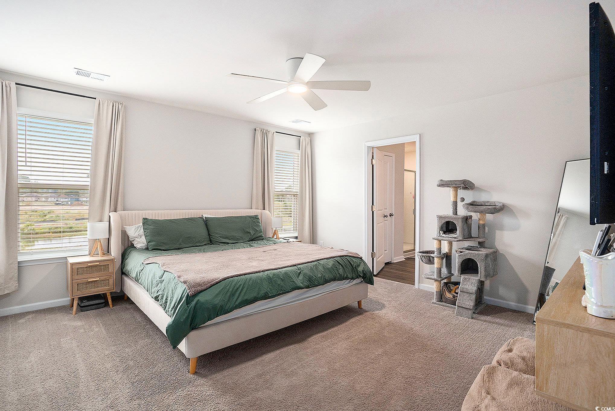 1178 Sennema Circle Myrtle Beach, SC 29588 - Photo 13 of 31 Carpeted bedroom with a ceiling fan and baseboards