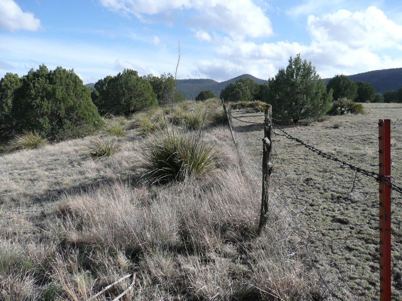 478 Rolling Hills Road Young, AZ 85554 - Photo 14 of 20