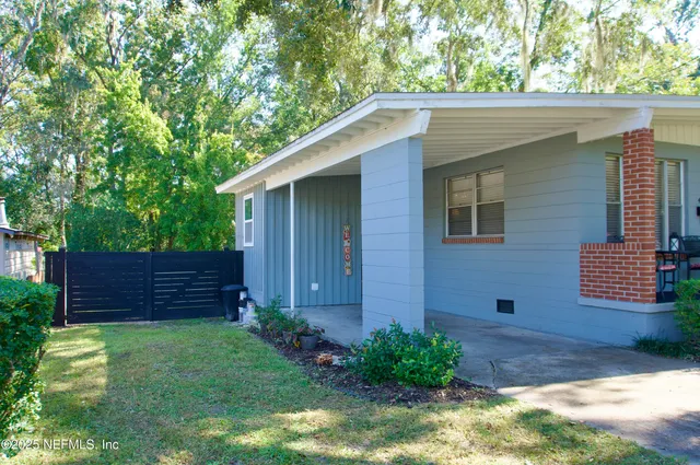 a view of a backyard with plants and large tree