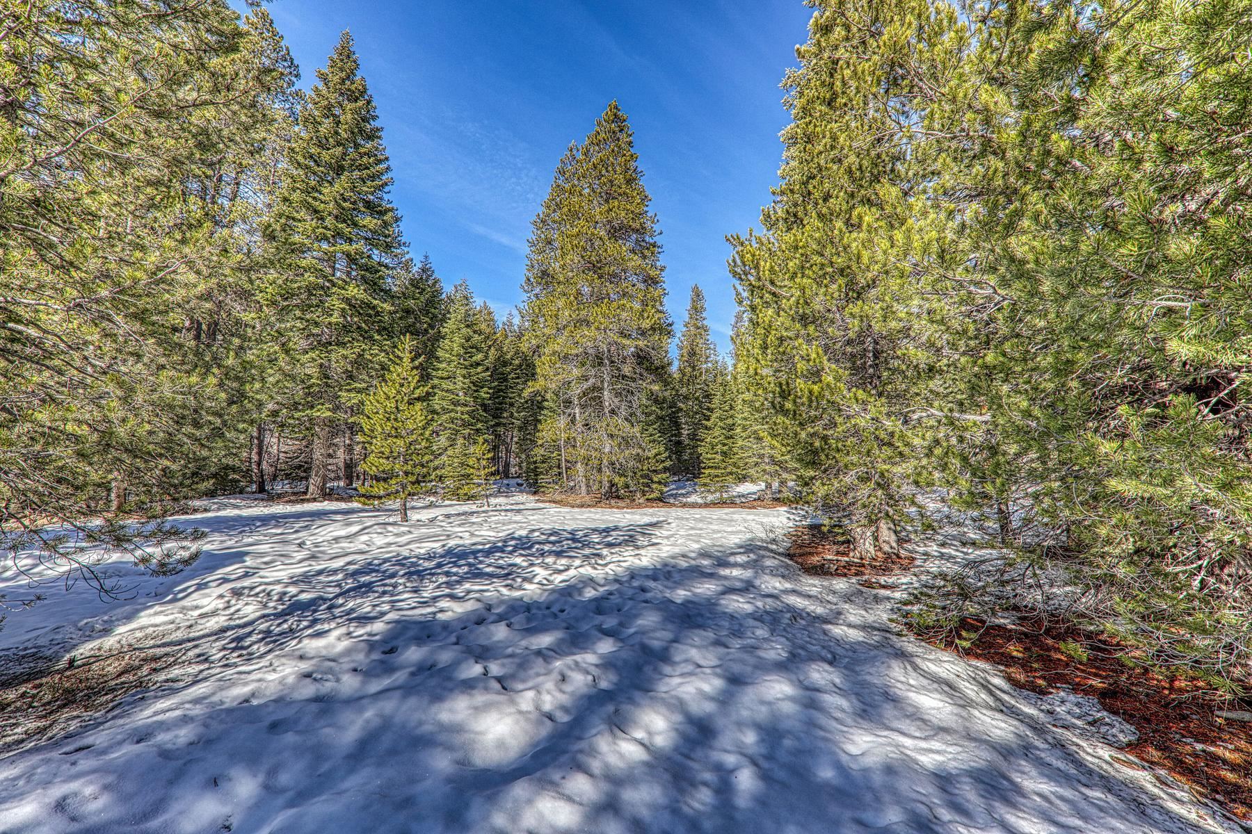 0 River Road Truckee, CA 96161 - Photo 10 of 17