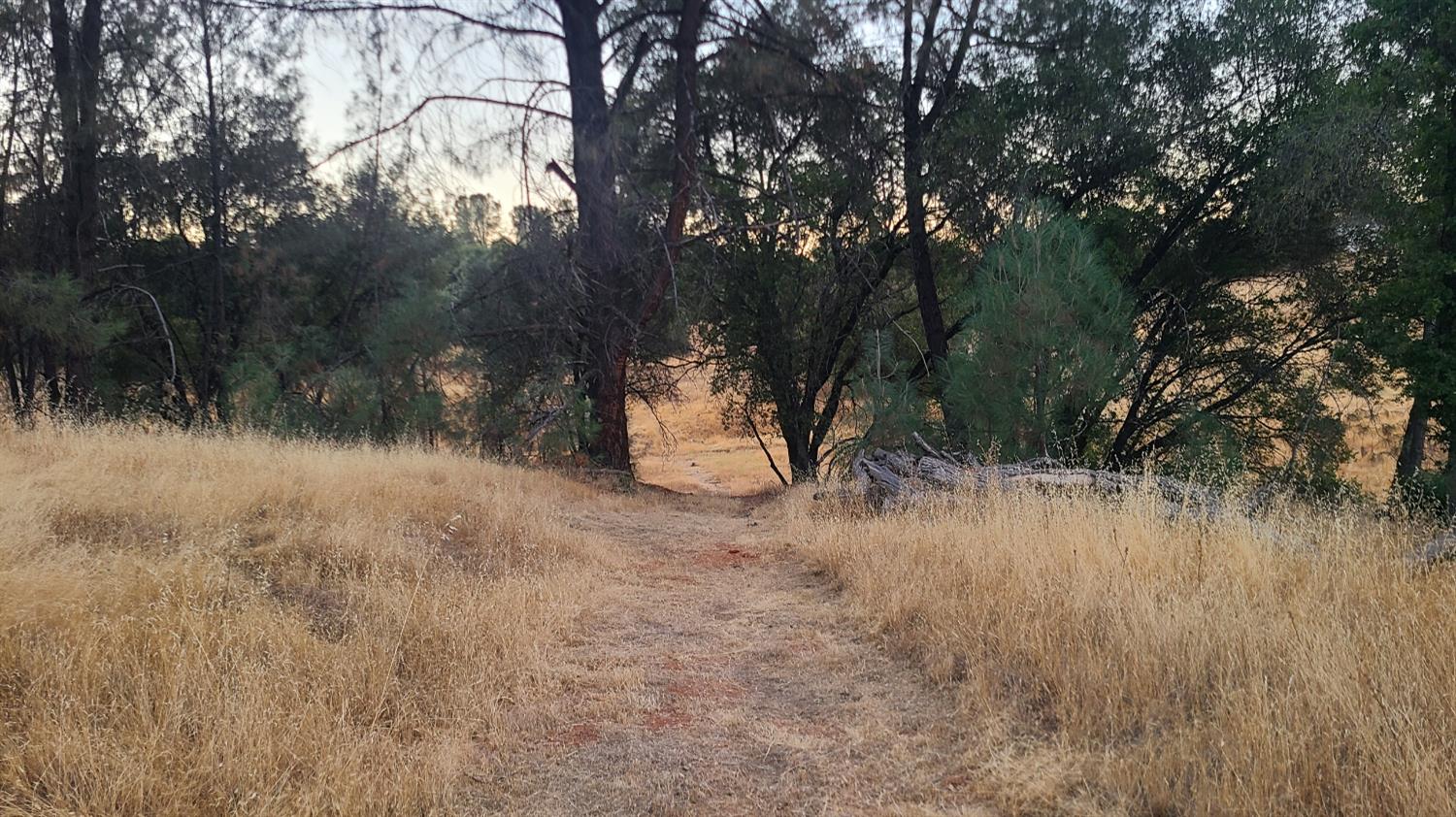 131 Pleasant Valley Road Diamond Springs, CA 95619 - Photo 16 of 22 a view of outdoor space with trees