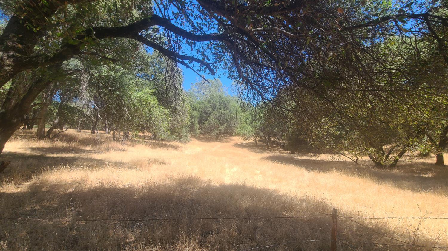 131 Pleasant Valley Road Diamond Springs, CA 95619 - Photo 22 of 22 a view of snow on a yard