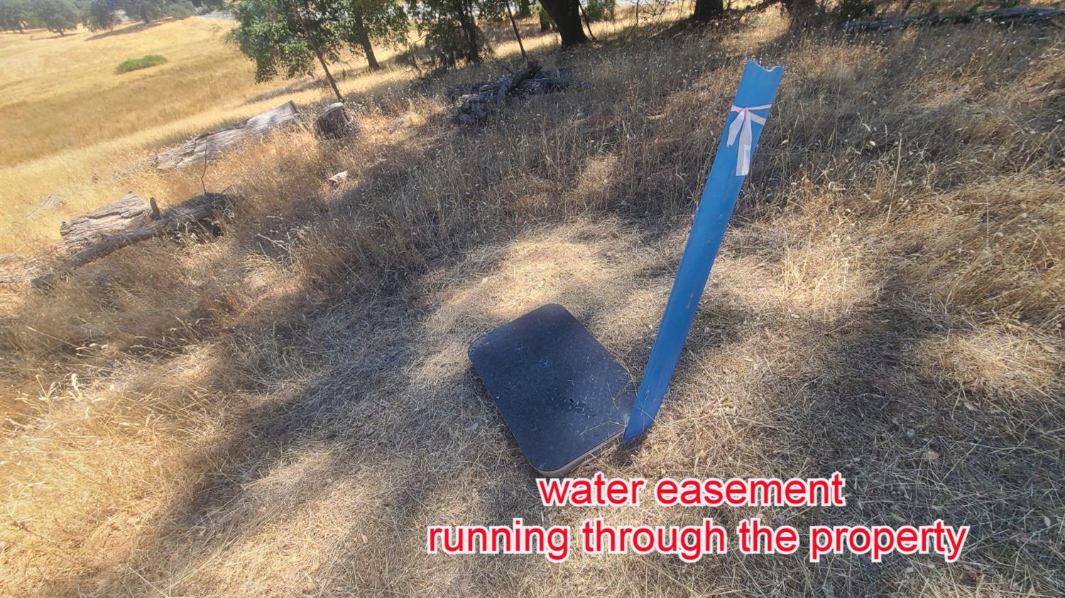 131 Pleasant Valley Road Diamond Springs, CA 95619 - Photo 10 of 22