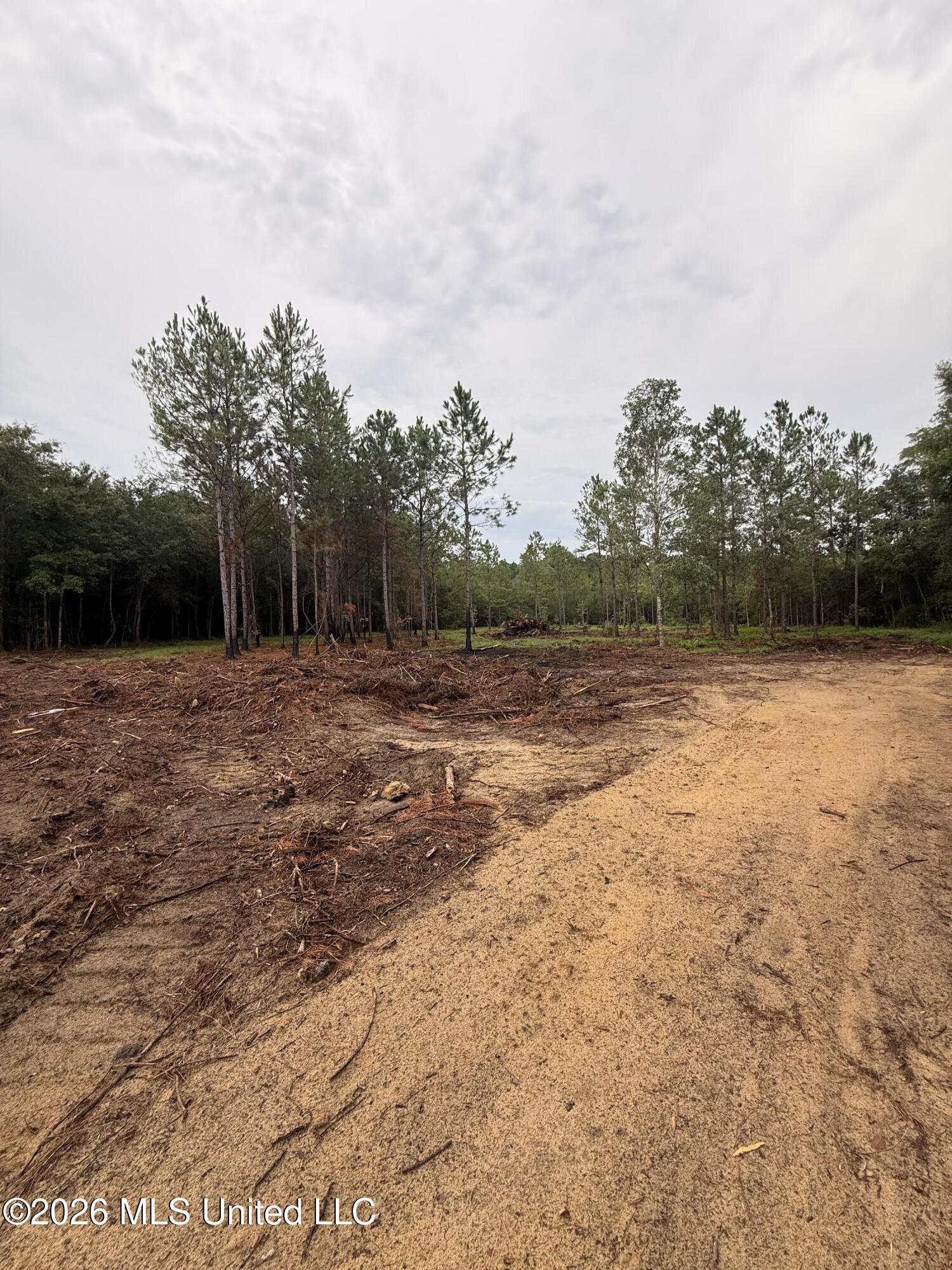Nhn Dap Road East Moss Point, MS 39562 - Photo 12 of 23 IMG_1782