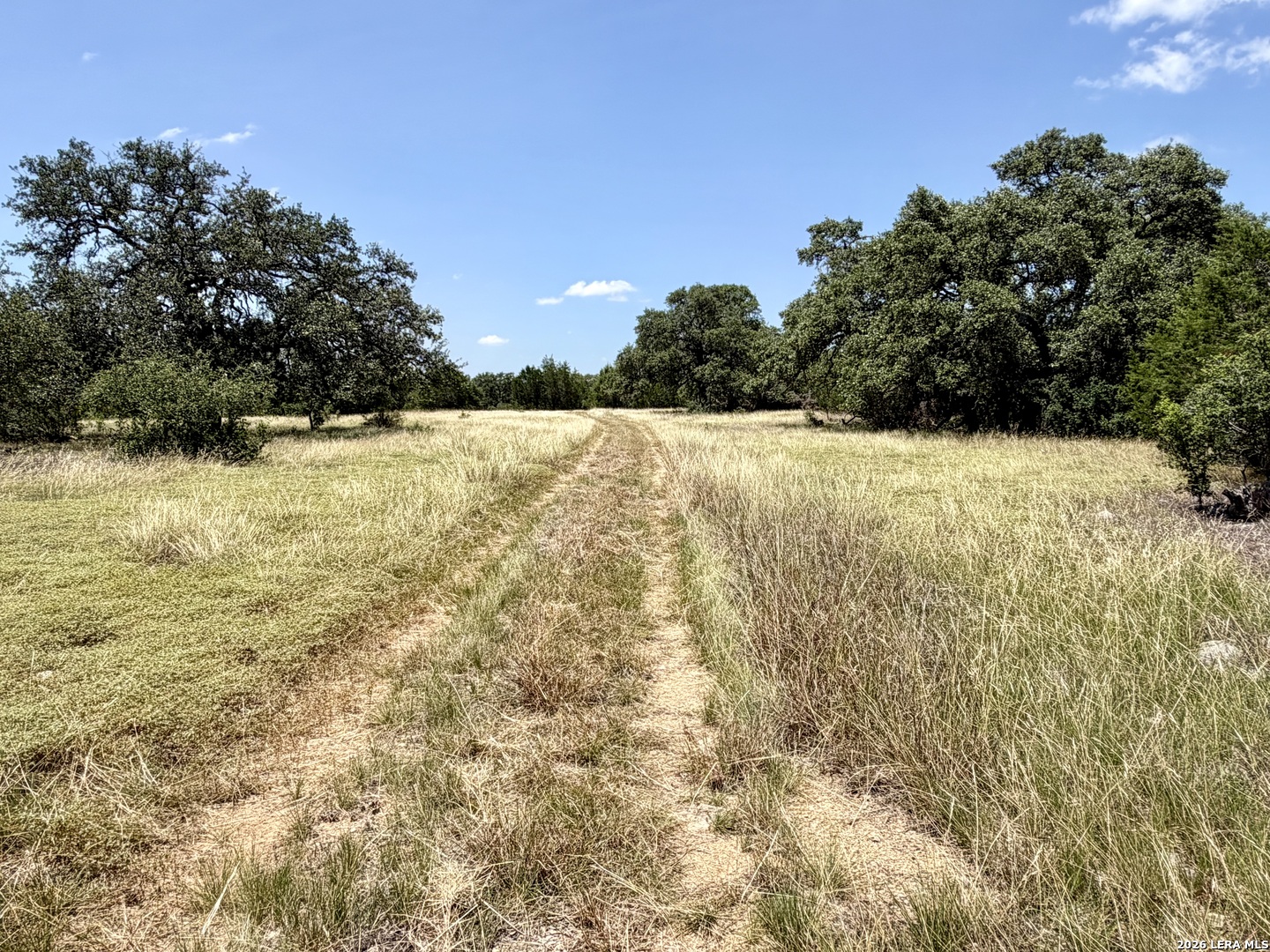 43-acres Sattler Road Spring Branch, TX 78070 - Photo 5 of 42 Gallery Image 5