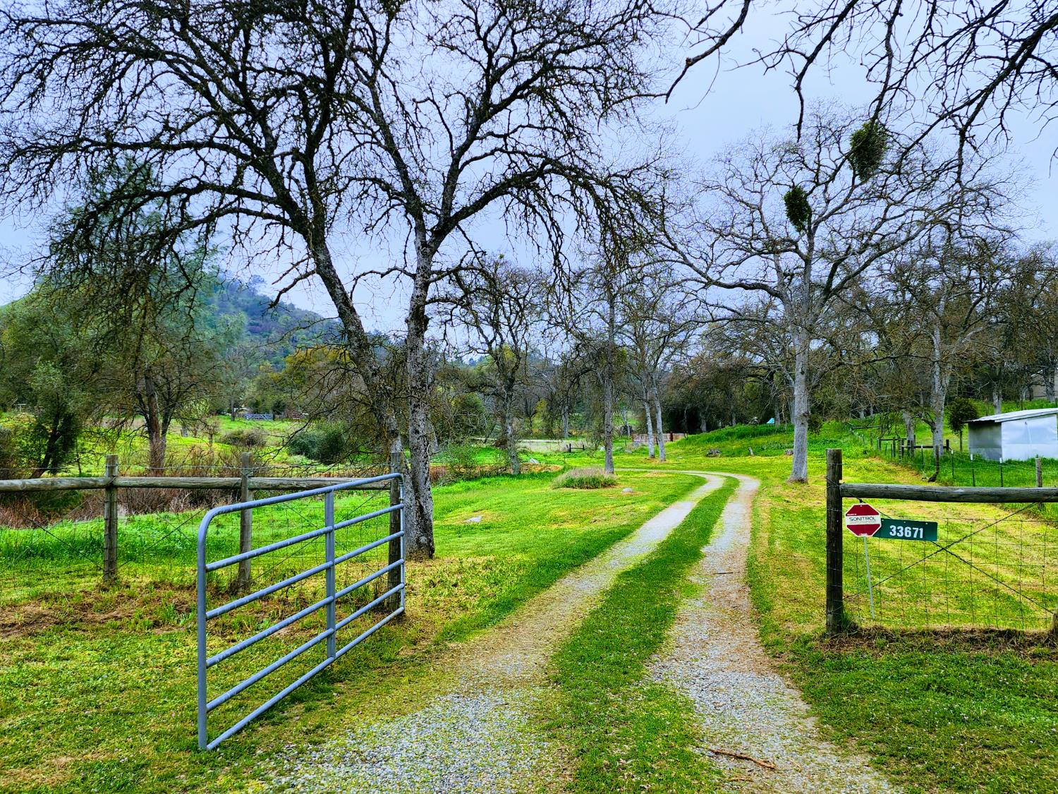 33671 Frazier Road Auberry, CA 93602 - Photo 2 of 43