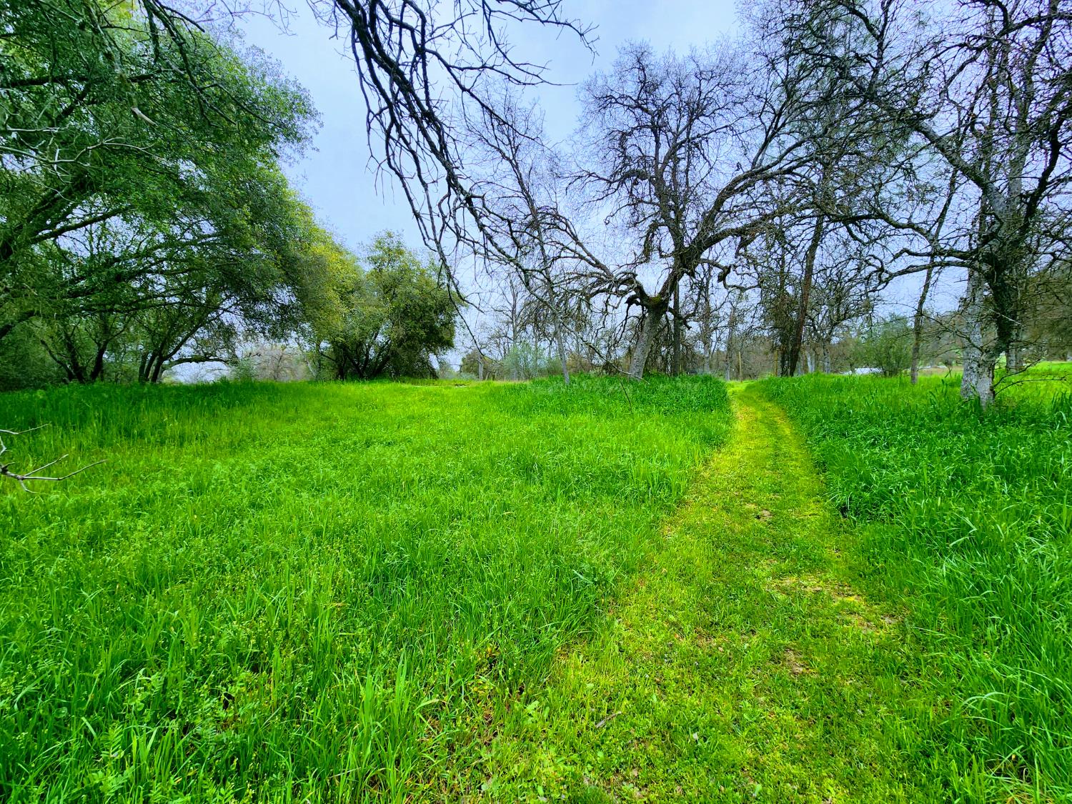 33671 Frazier Road Auberry, CA 93602 - Photo 25 of 43