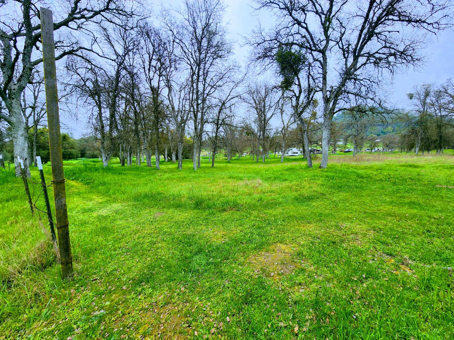 33671 Frazier Road Auberry, CA 93602 - Photo 27 of 43