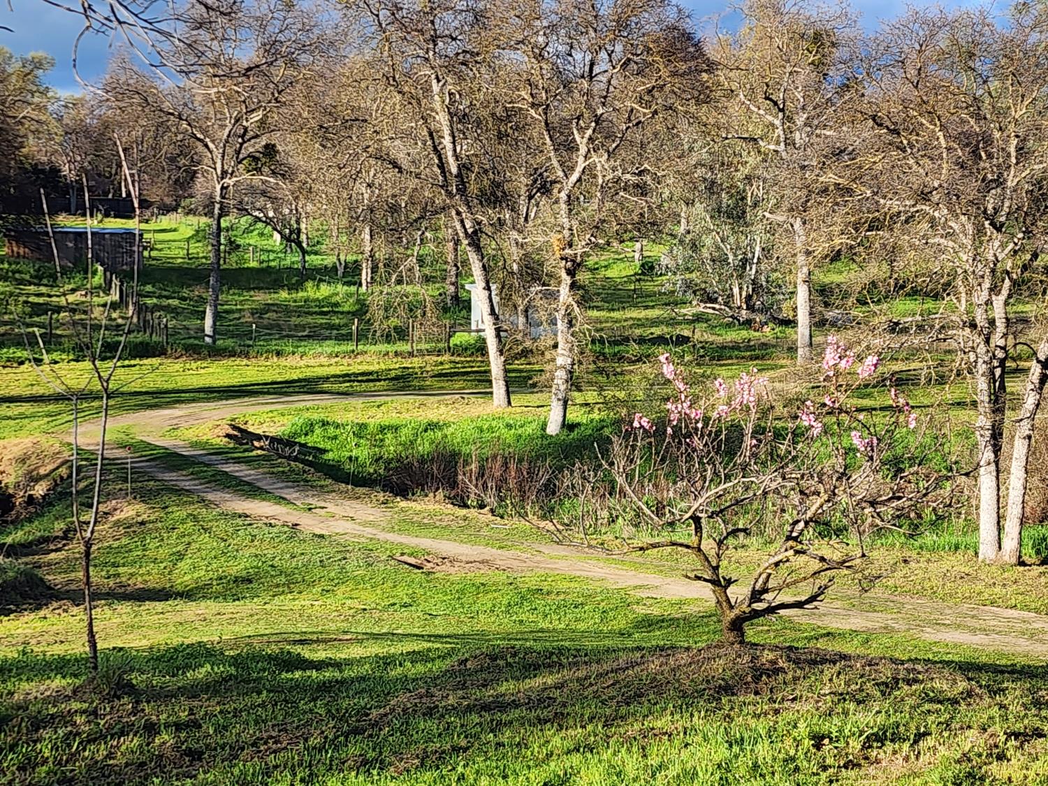 33671 Frazier Road Auberry, CA 93602 - Photo 42 of 43