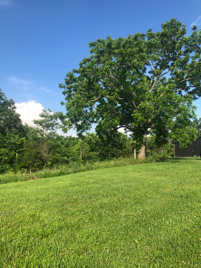 1970 Timber Creek Road Lawrenceburg, KY 40342 - Photo 11 of 11 Mobile or Modular Sites