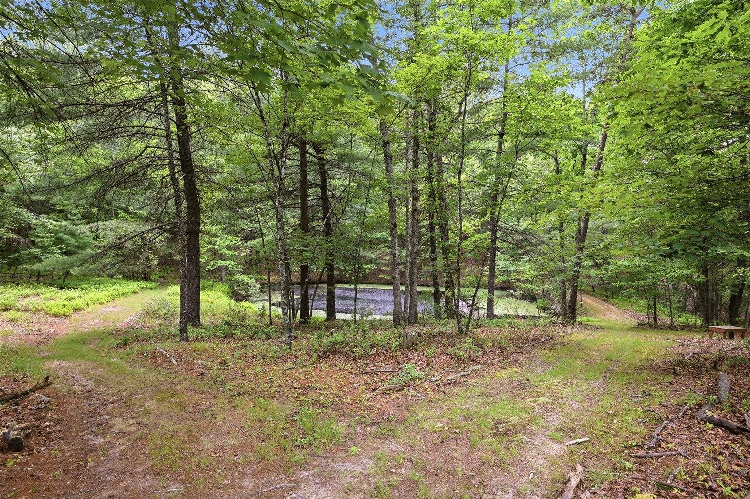 14636 Turner Run Road Fulks Run, VA 22830 - Photo 58 of 75