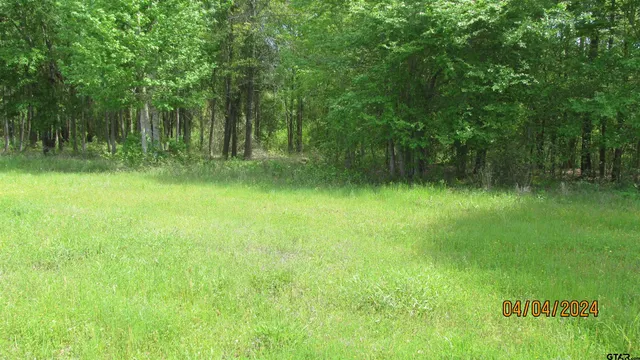 $130,000 | 16833 Ridgeline Loop, Winona, TX 75792
