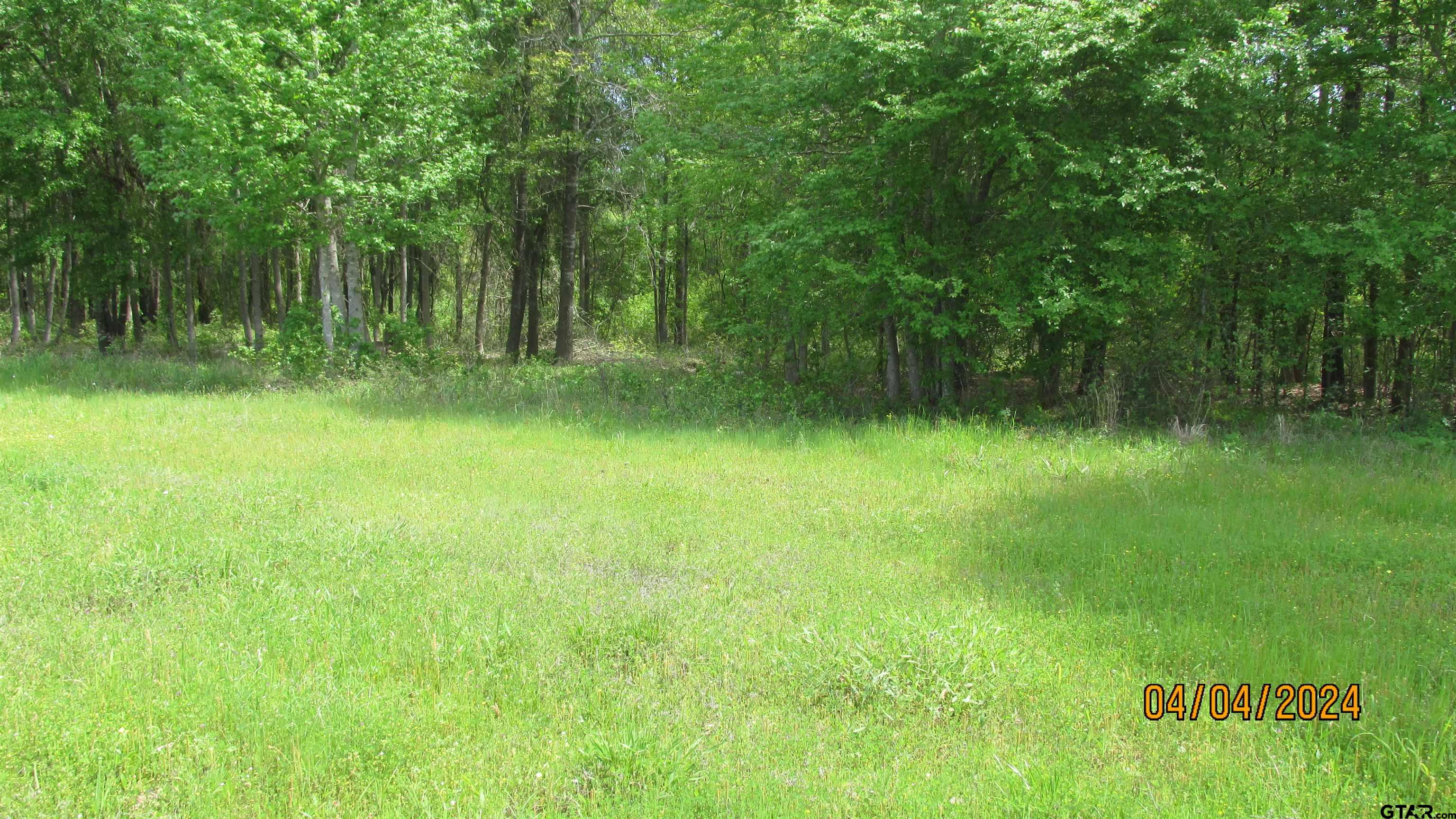 16833 Ridgeline Loop Winona, TX 75792 - Photo 3 of 6