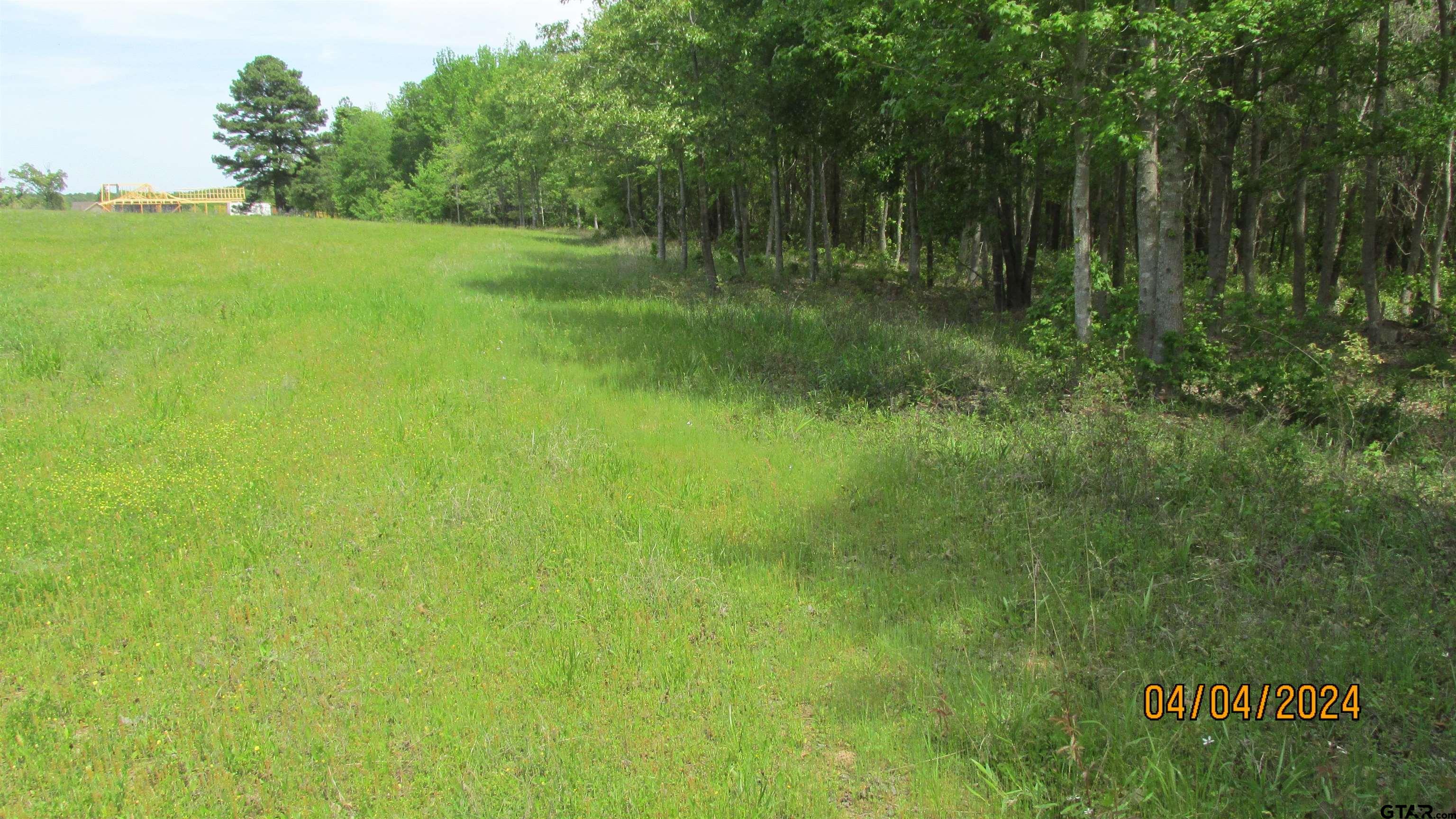 16833 Ridgeline Loop Winona, TX 75792 - Photo 4 of 6