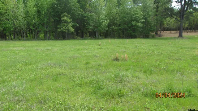 $130,000 | 16833 Ridgeline Loop, Winona, TX 75792