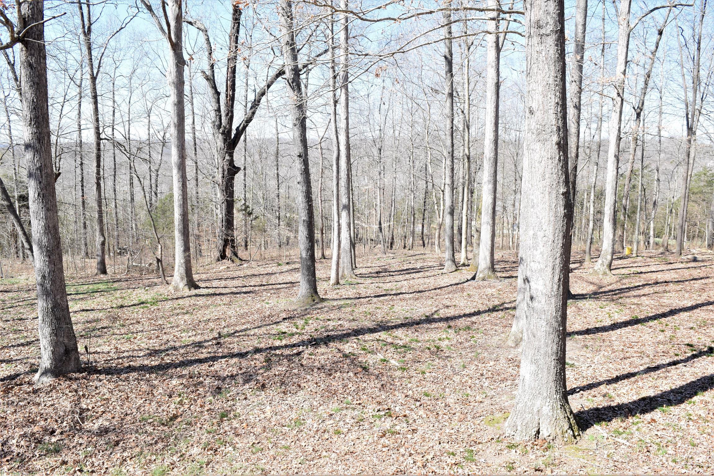 3485 Hunters Ridge Woodlawn, TN 37191 - Photo 14 of 17 Gallery Image 14