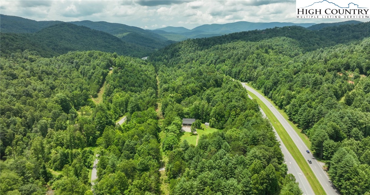 351 Colony Lane Purlear, NC 28665 - Photo 16 of 39 a view of a lush green forest with lots of trees