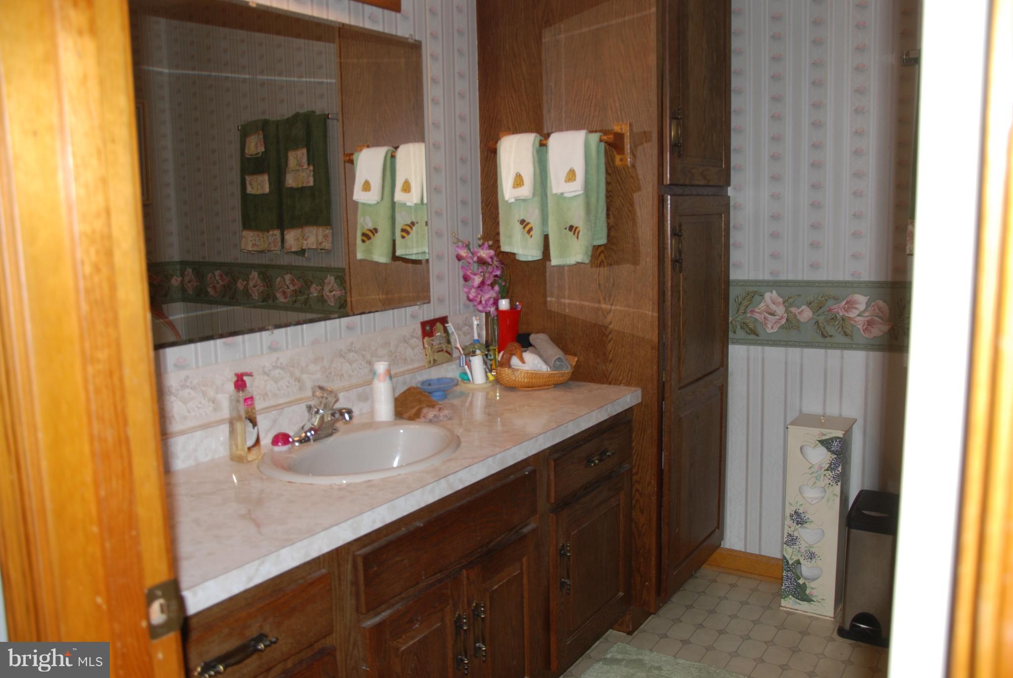 4775 South Reyburn Court Mount Airy, MD 21771 - Photo 13 of 26 Bath