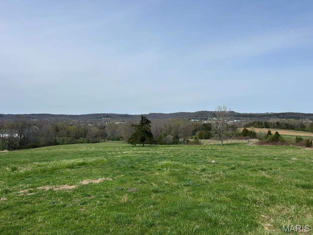 667 9 Highlands Road Pacific, MO 63069 - Photo 3 of 9