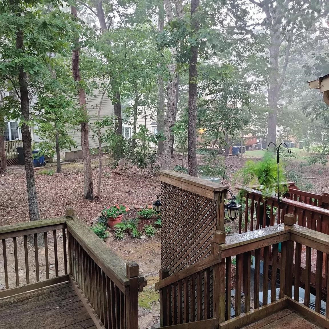 7301 Sweet Bay Lane Raleigh, NC 27615 - Photo 9 of 30 Photo 9