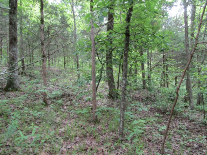 Lot 6 Red Oak Ridge Road Celina, TN 38551 - Photo 14 of 22 05122020 085