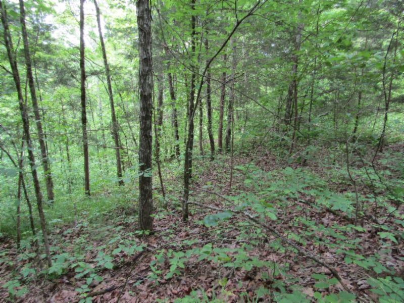 Lot 6 Red Oak Ridge Road Celina, TN 38551 - Photo 10 of 22 05122020 081