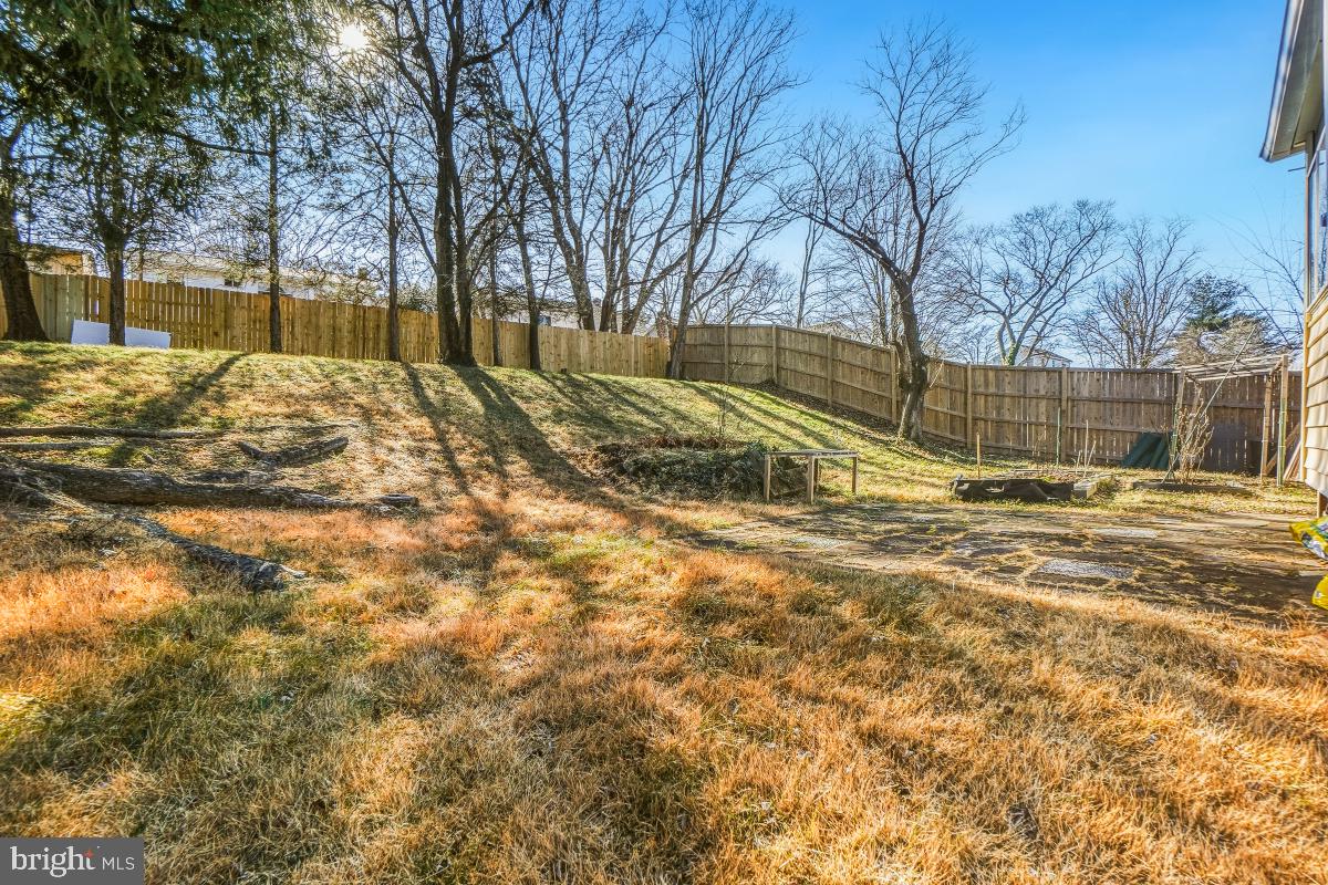 1021 Brice Road Rockville, MD 20852 - Photo 42 of 44 a view of back yard of the house