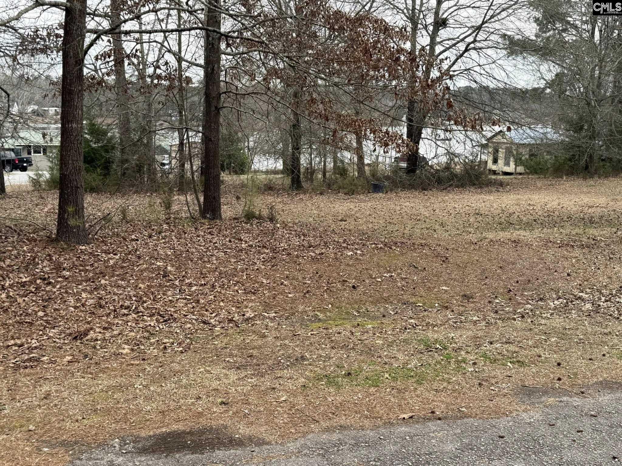 683 Hawley Creek Road Prosperity, SC 29127 - Photo 5 of 17