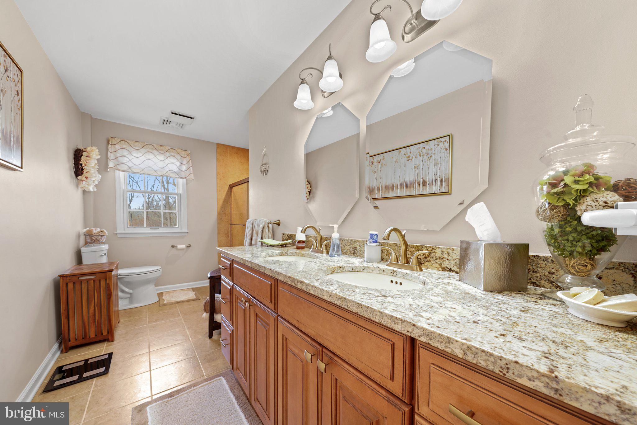 839 Pheasant Run Road West Chester, PA 19382 - Photo 37 of 61 Hall Bath with double sinks