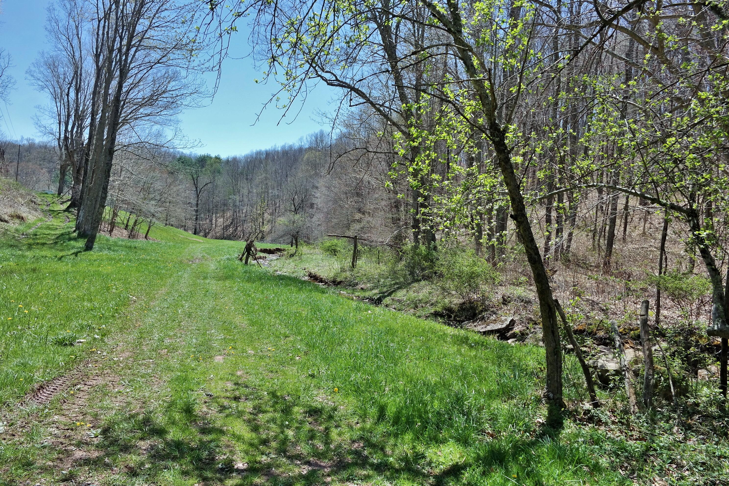 3678 Snake Run Road Alderson, WV 24910 - Photo 81 of 124 Gallery Image 81