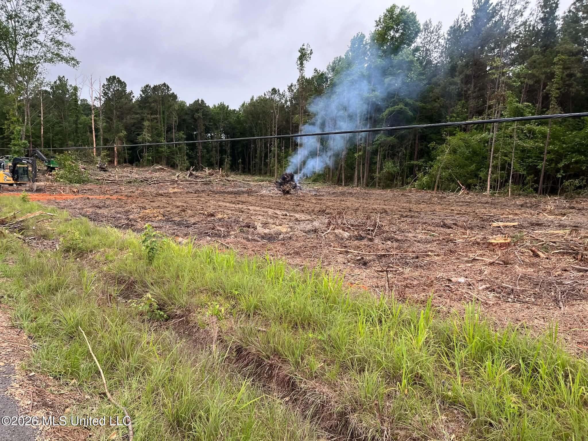 715 Old Pinola Braxton Road Braxton, MS 39044 - Photo 7 of 8 59183dd7-ee0d-4922-b4b4-f6745aa030eb