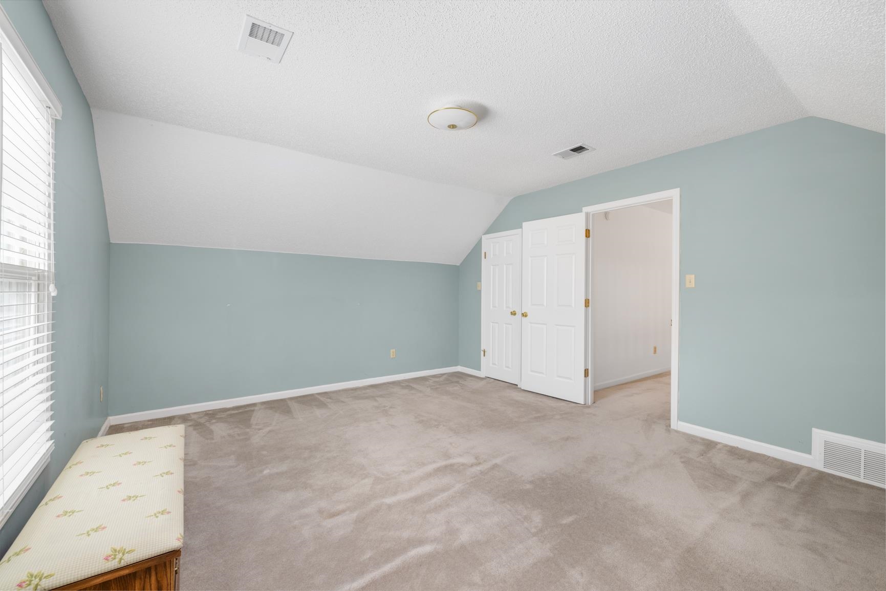 9015 Raspberry Lane Cordova, TN 38016 - Photo 38 of 40 Additional living space featuring a textured ceiling, vaulted ceiling, and light colored carpet