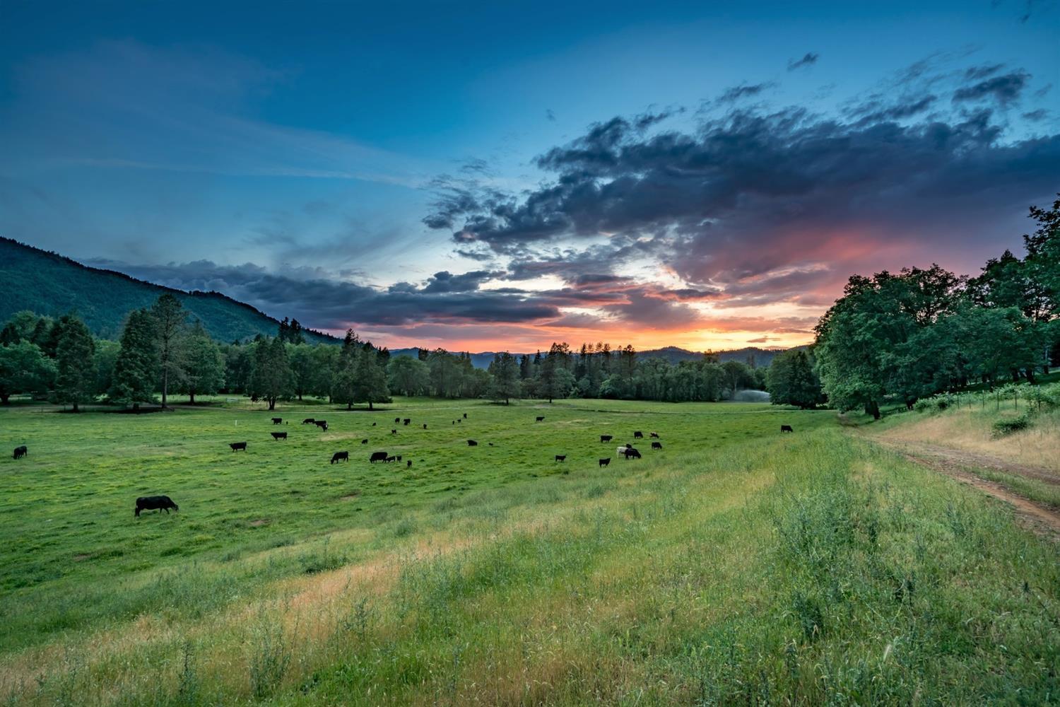3903 Helms Road Grants Pass, OR 97527 - Photo 10 of 35 Additional Photo