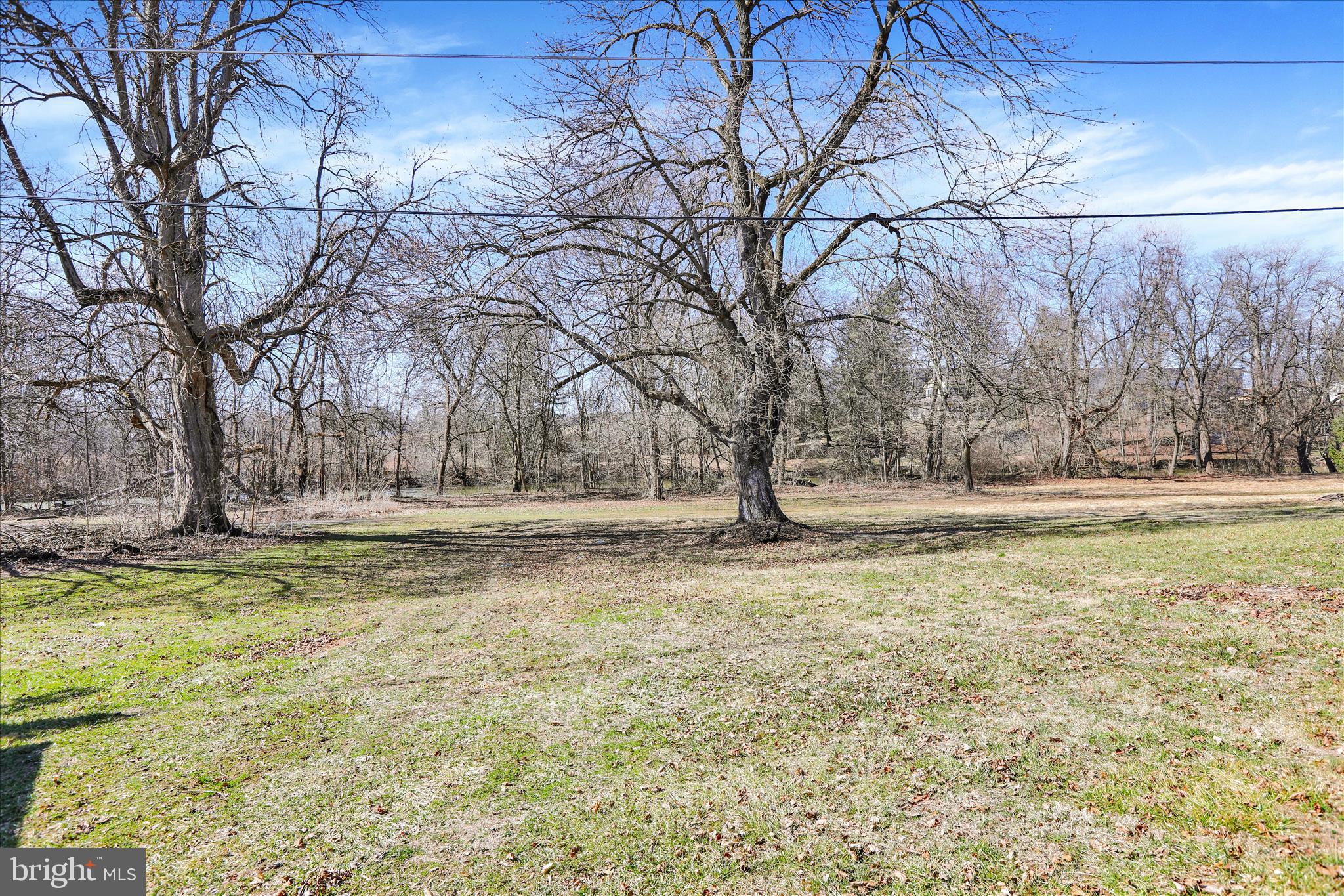 1086 Heffner Lane Reading, PA 19605 - Photo 37 of 44 a view of yard with trees