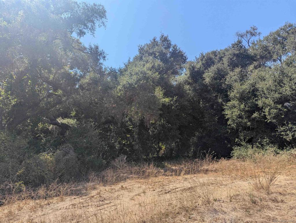 2935 South Mission Road Fallbrook, CA 92028 - Photo 4 of 5 Gallery Image 4
