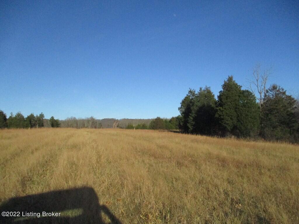 0 Freeman Road Hillsboro, KY 41049 - Photo 6 of 14 64
