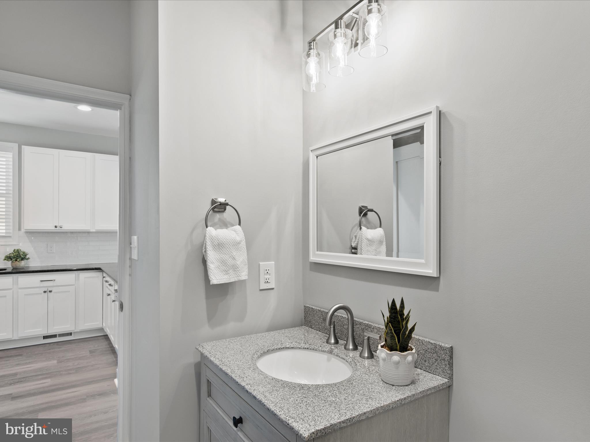 36986 Blue Teal Road Selbyville, DE 19975 - Photo 26 of 54 a bathroom with a sink and a mirror