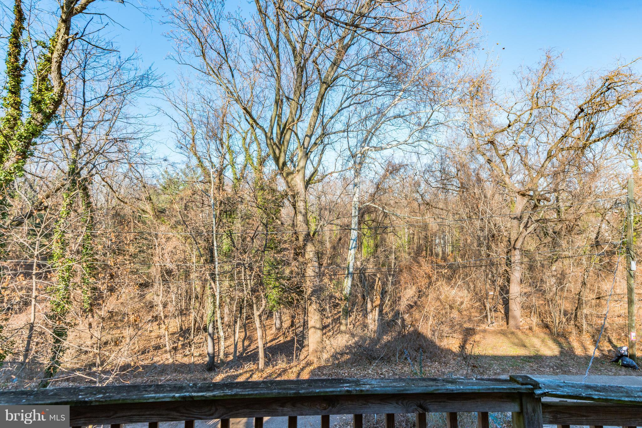 4622 Rokeby Road Baltimore, MD 21229 - Photo 22 of 27 a small garden covered with tall trees