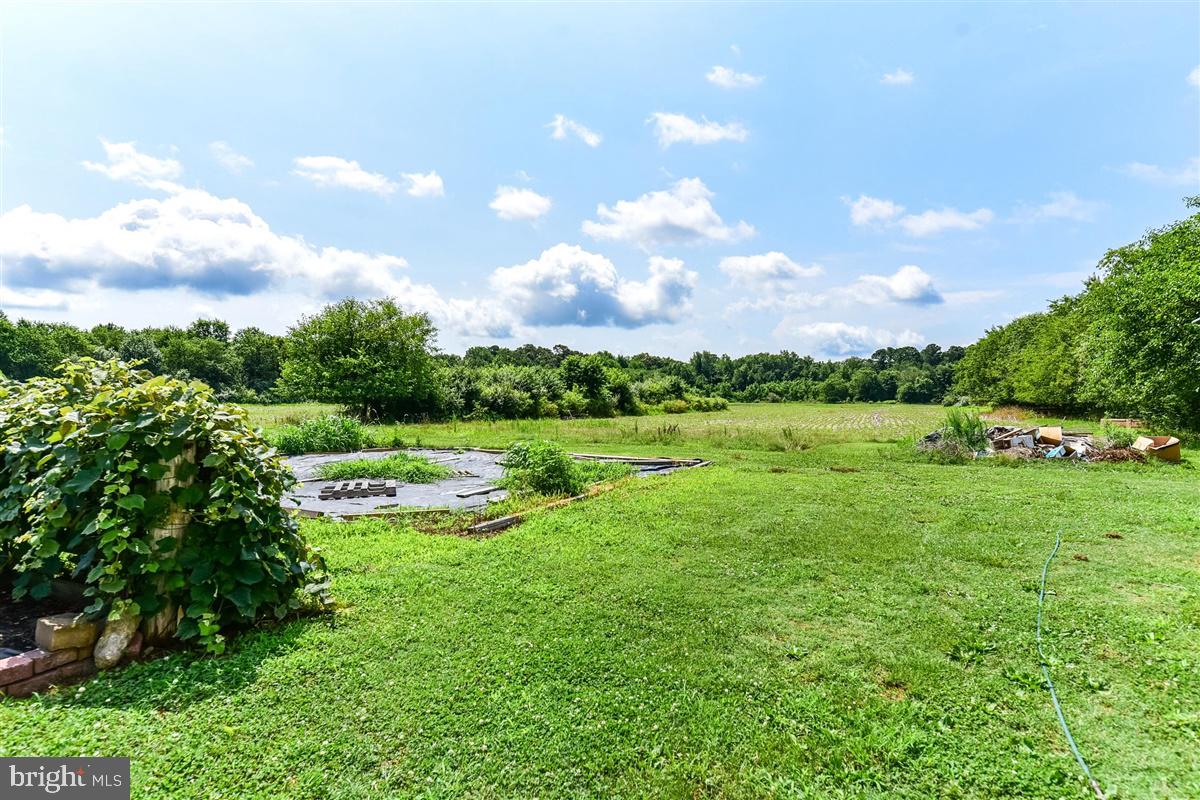 10304 Shingle Landing Road Bishopville, MD 21813 - Photo 74 of 78 Gallery Image 74