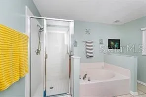 a bathroom with a bathtub and a shower