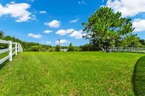 a view of building with garden